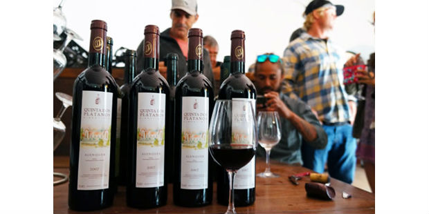 Quinta dos Plátanos