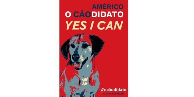 caodidato
