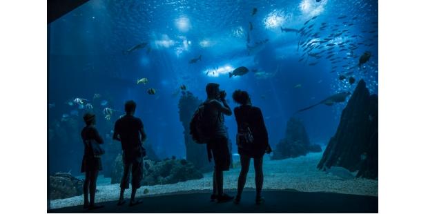 oceanário
