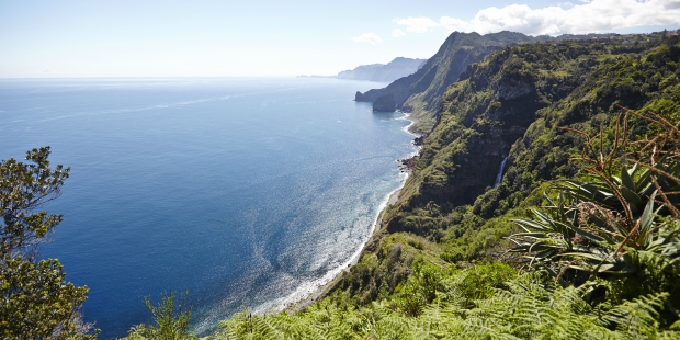 madeira