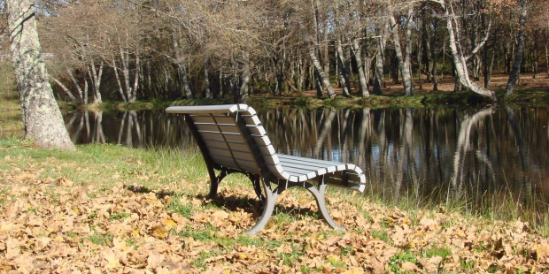 banco serralves