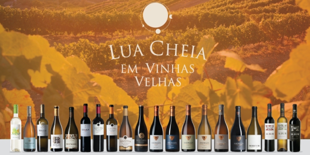 lua cheia em vinhas velhas