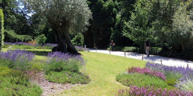 1407_opendayolivserra_j1_2093147206559d1116b1ddf