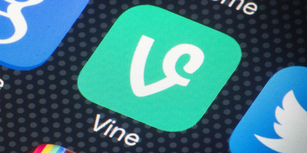 vine-1