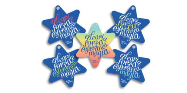 make-a-wish-natal-2016