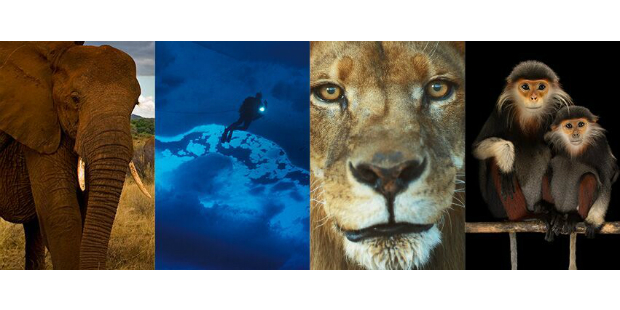 national-geographic-1