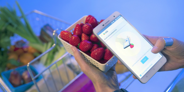 Scanning Strawberries 1