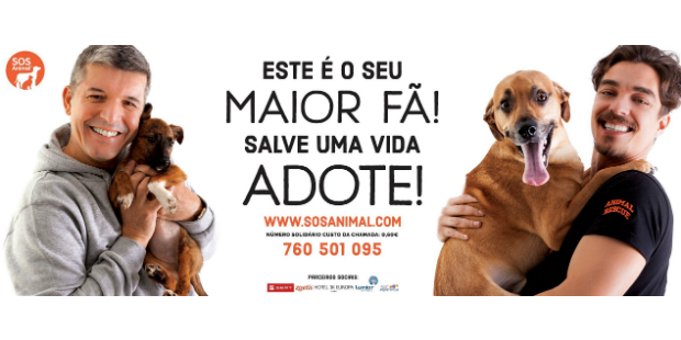10 anos sos animal
