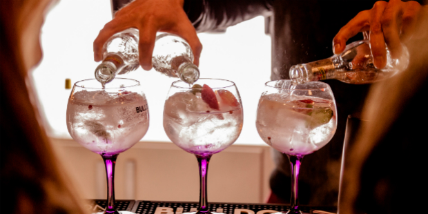 Festival do Gin MCO