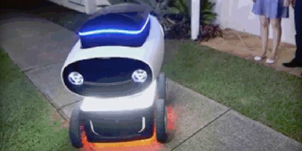 dominos robot