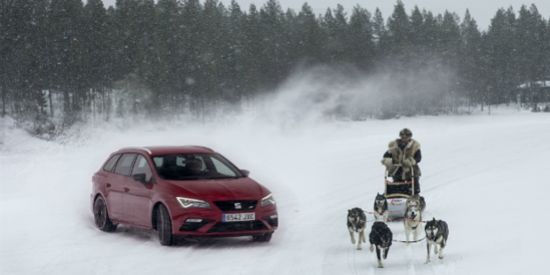seat huskies