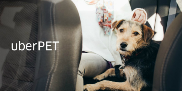 uberPET 2017