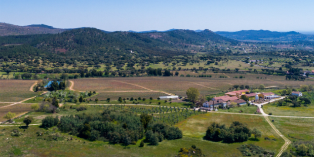 symington alto alentejo