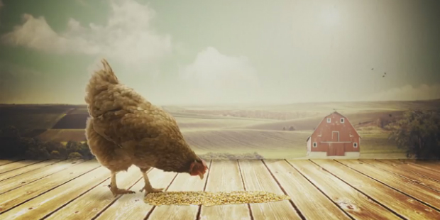 the popping chicken