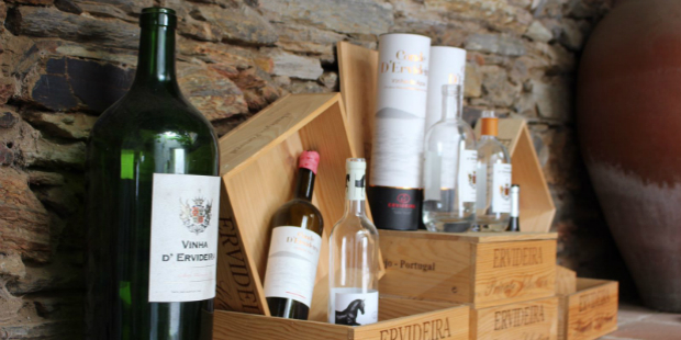 ervideira wine terrace