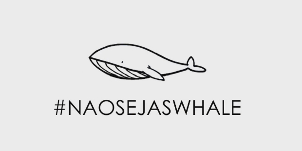 não sejas whale 1