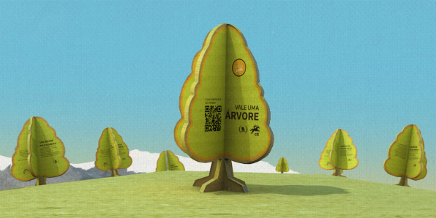 arvorepelafloresta ctt quercus