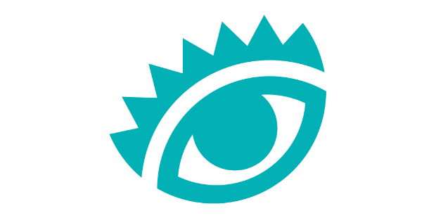 el ojo