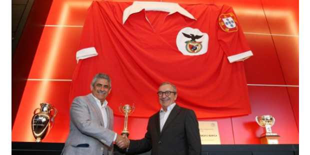 cin patrocinio benfica