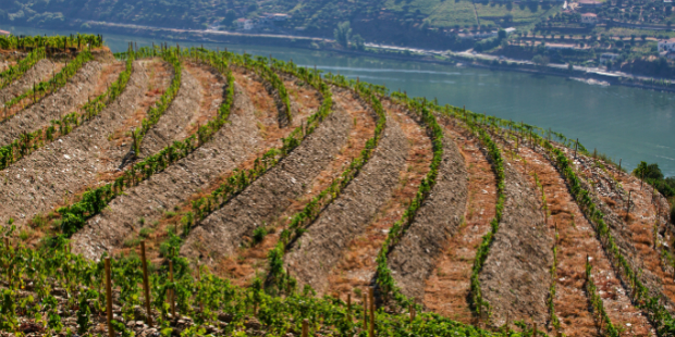 Quinta da Estrada