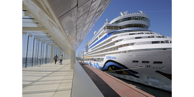 apdl navio