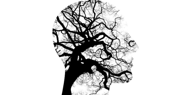 cerebro saude mental mente 1