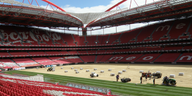 Estádio da Luz red relvado