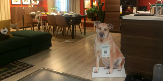 IKEA Alfragide animais