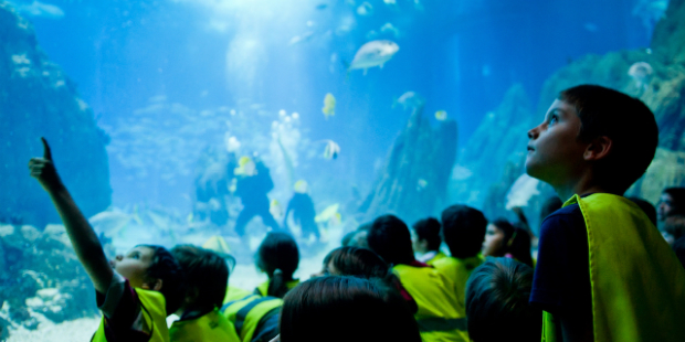 Oceanário de Lisboa_Pedro A Pina
