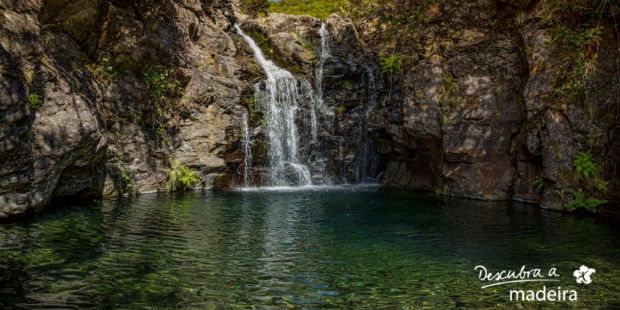 descubra a madeira 1