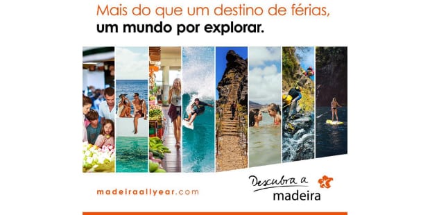 descubra a madeira 1