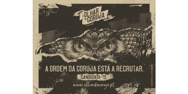 olhar da coruja