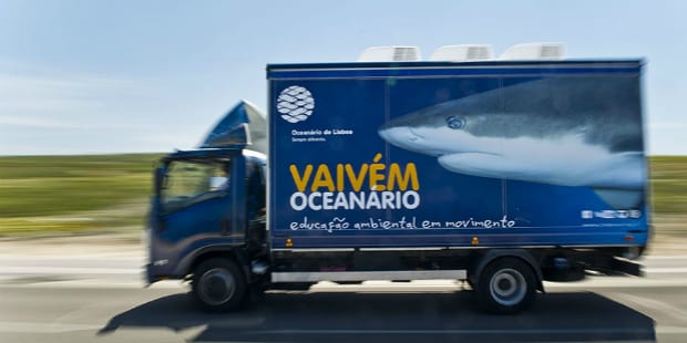 vaivem_pedro_pina oceanario