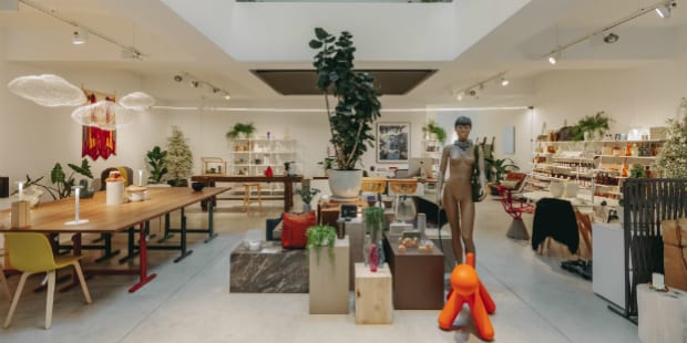 LF_BANEMA STUDIO-115