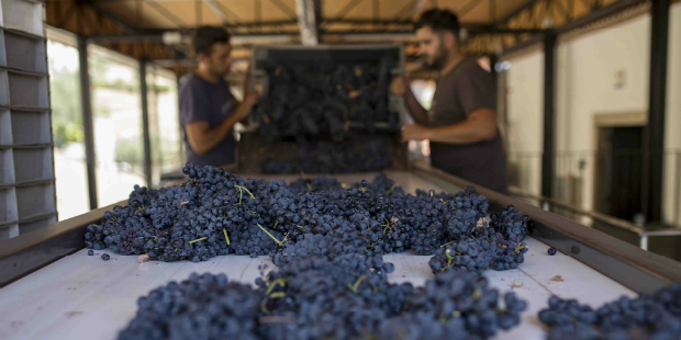 Quinta dos Murças