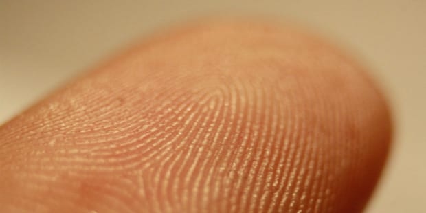 impressão digital fingerprint