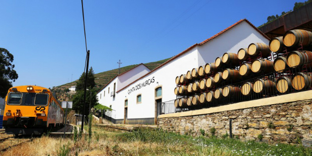 quinta dos murças 1