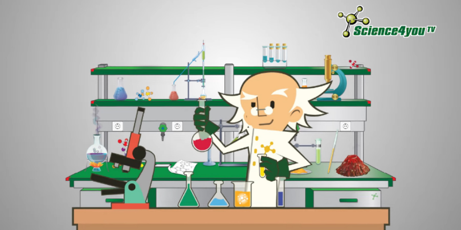 science4you imagem