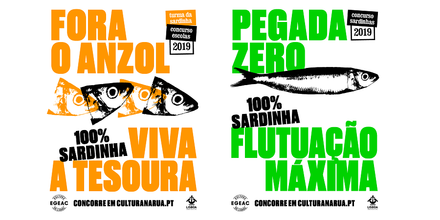 concurso sardinhas 2019