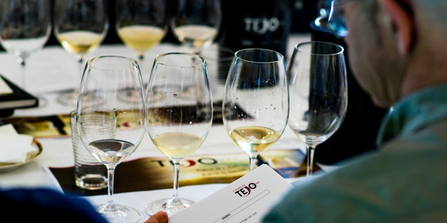 GONCALO VILLAVERDE_vinho tejo