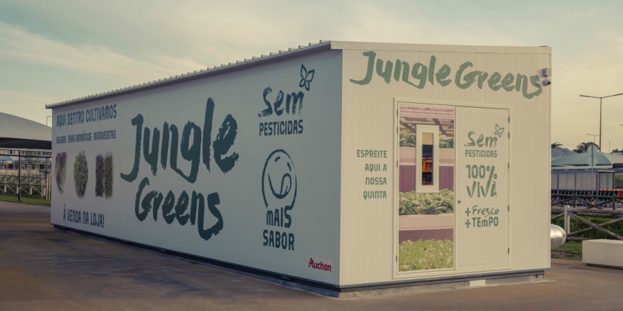 JUNGLE BOX_JUMBO SINTRA auchan