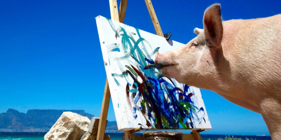 PIGCASSO_LIFESTYLE swatch