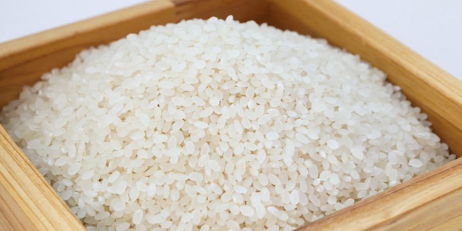 arroz