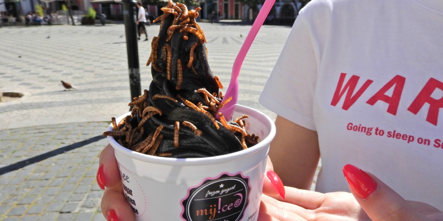 MyIced Top Bugs insectos