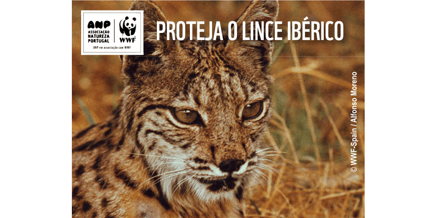 wwf jeronimo martins lince iberico