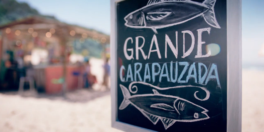 campanha carapaus