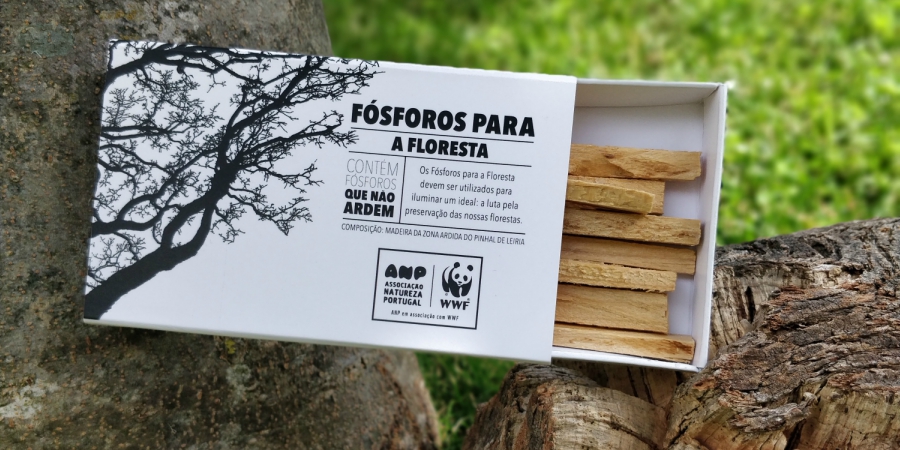 fosforos para a floresta