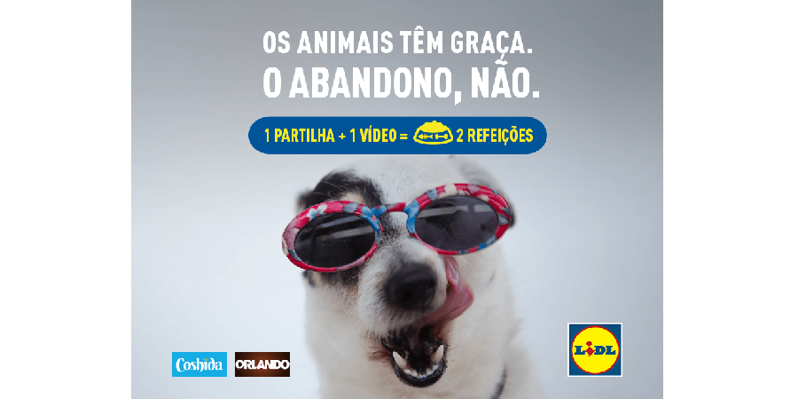 lidl abandono de animais