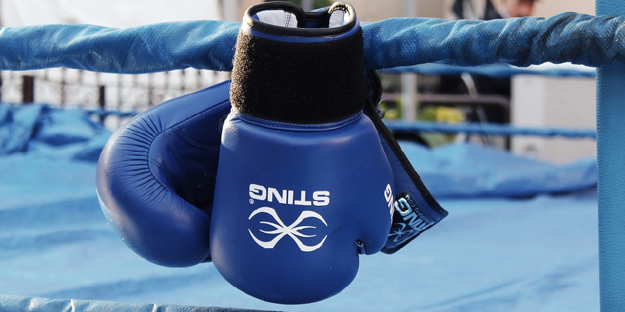 luvas de boxe