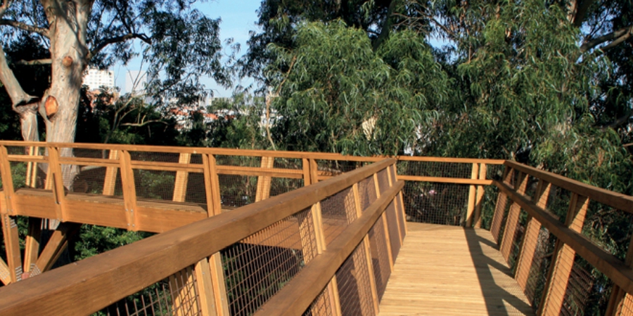 TREETOP WALK serralves